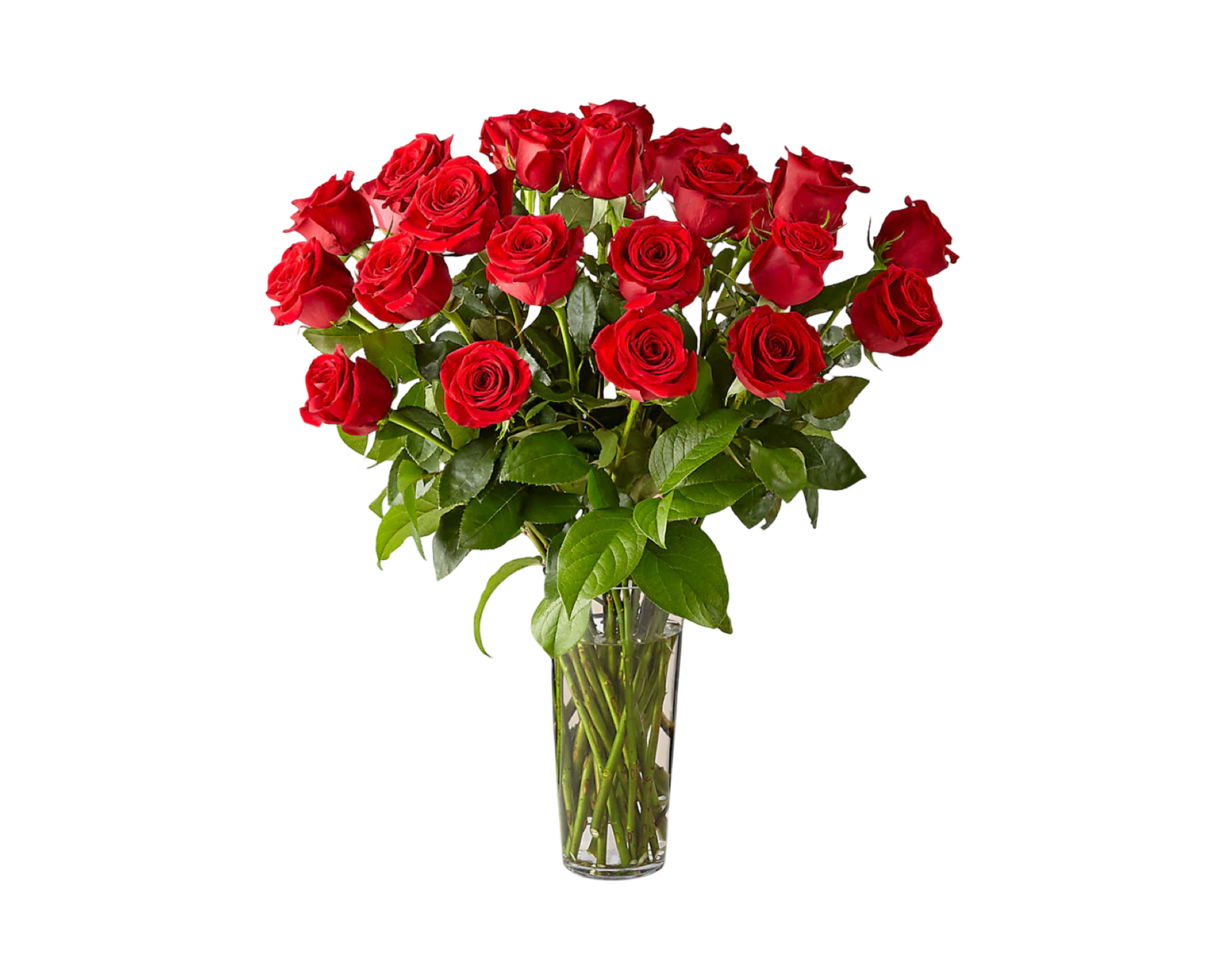 2 dozen classic red roses arranged in a tall clear glass vase with greenery accents from L’amour Floral Designs
