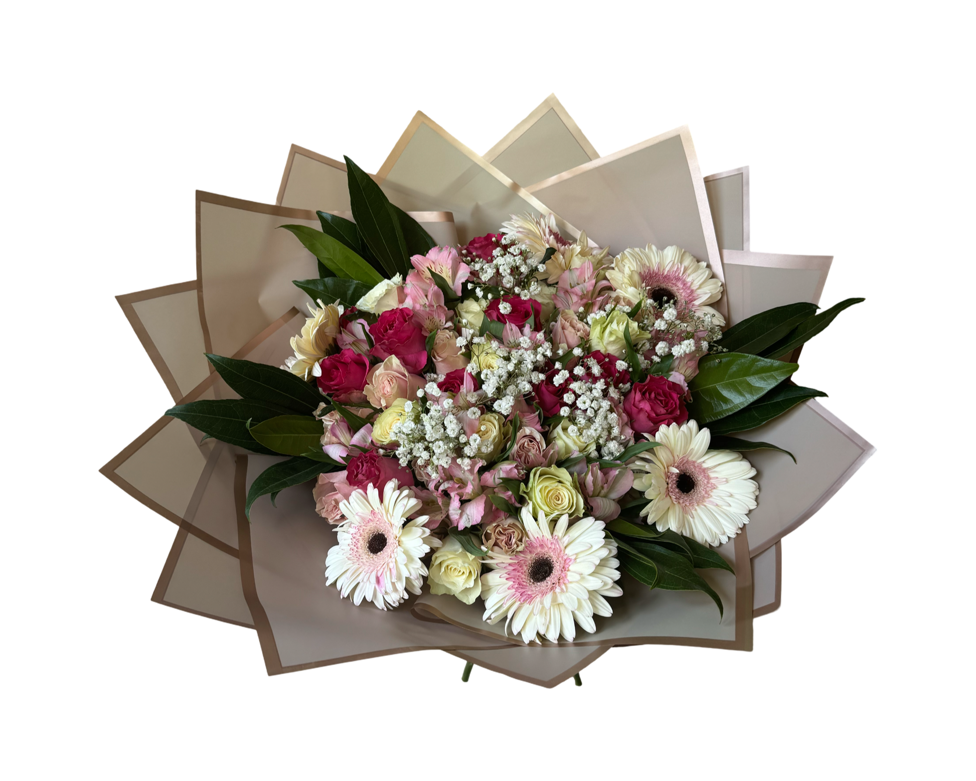 An elegant hand-tied bouquet featuring a soft and romantic palette of blush, cream, and raspberry hues, wrapped in layered beige cellophane. The arrangement includes cream gerbera daisies with pink centers, pink alstroemeria, red and blush roses, pale green roses, baby’s breath, and rich green salal leaves. This bouquet is perfect for classic gifting moments and graceful celebrations.