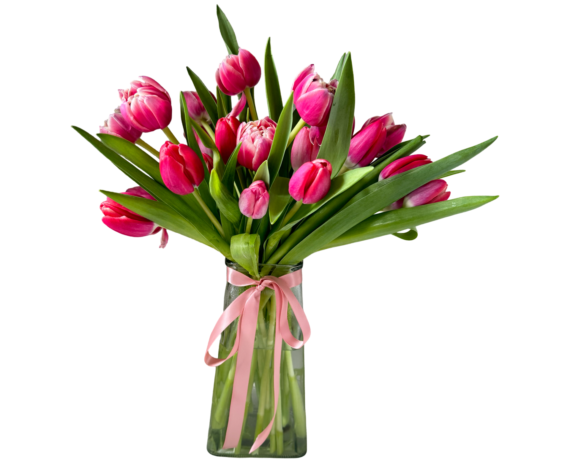 Pink Tulip Kiss