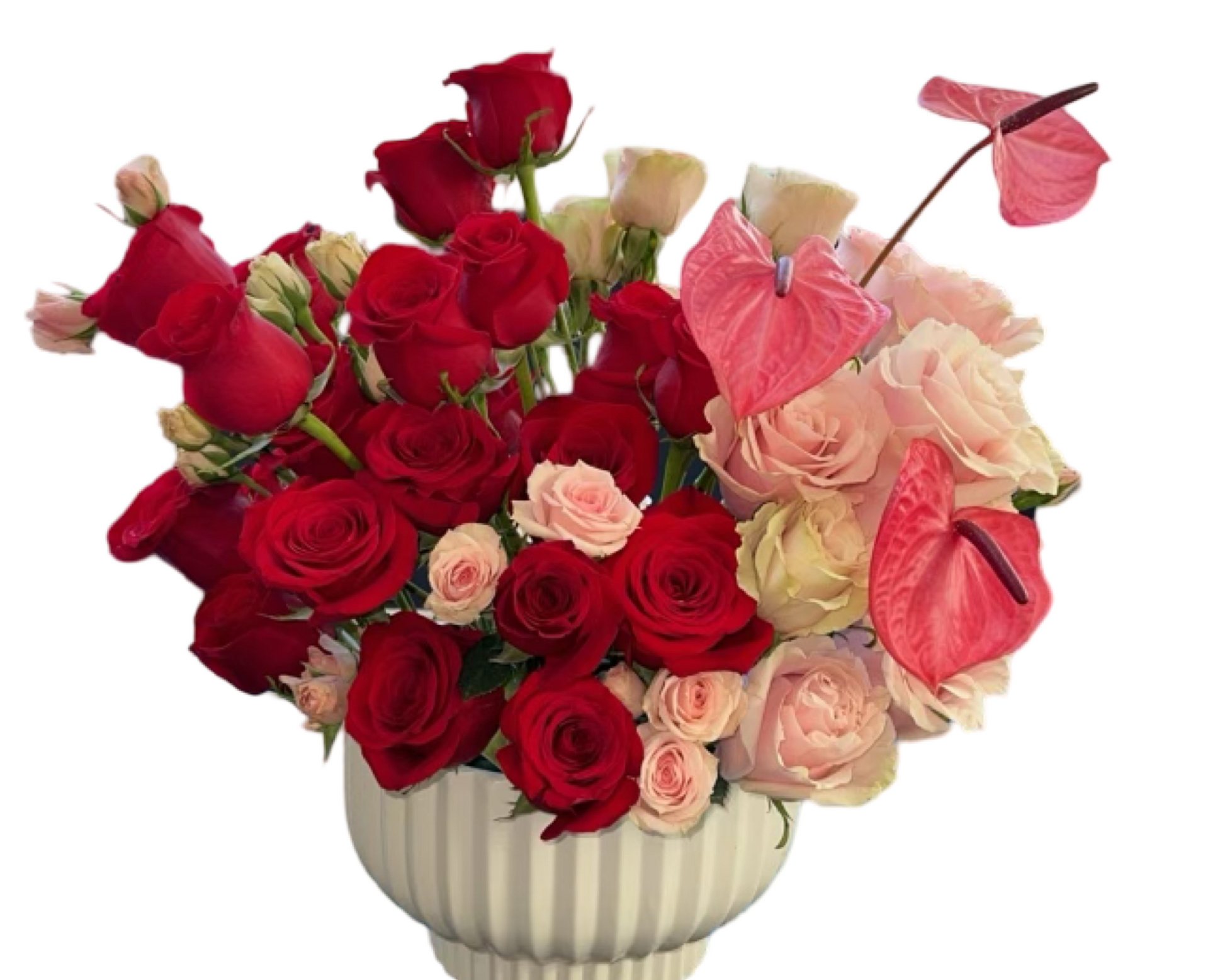 Crimson Blush