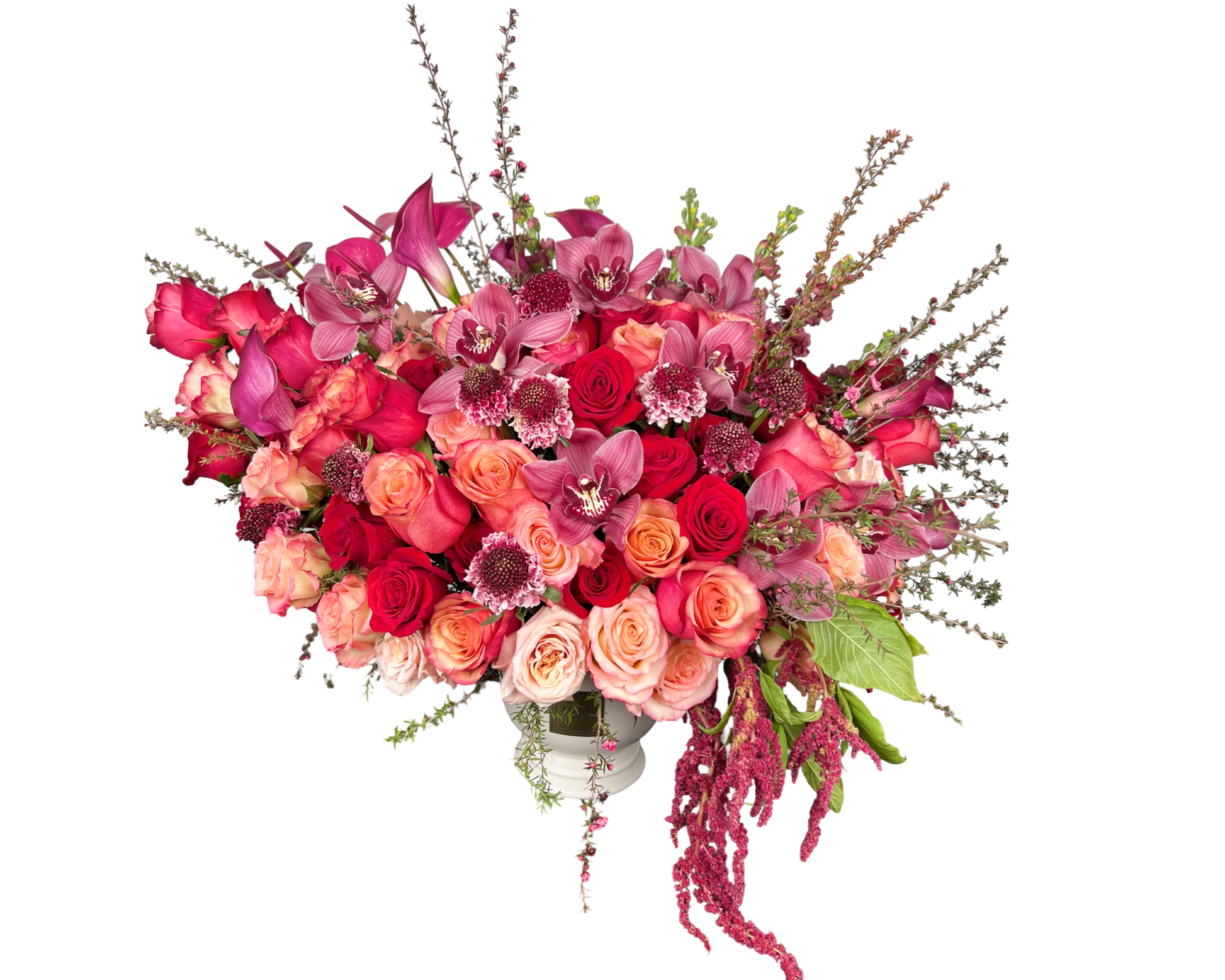 Passion in Bloom