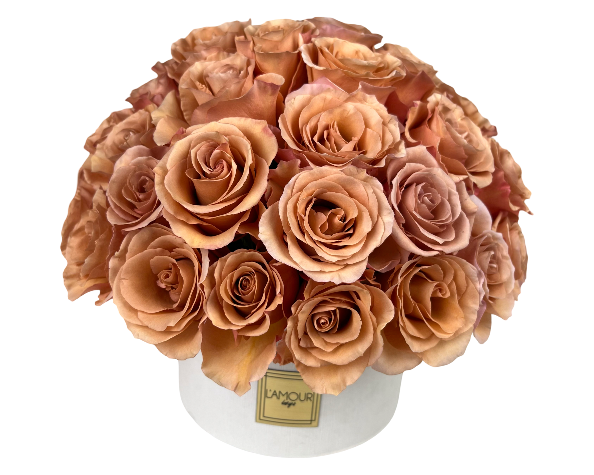 Mocha Rose Luxe