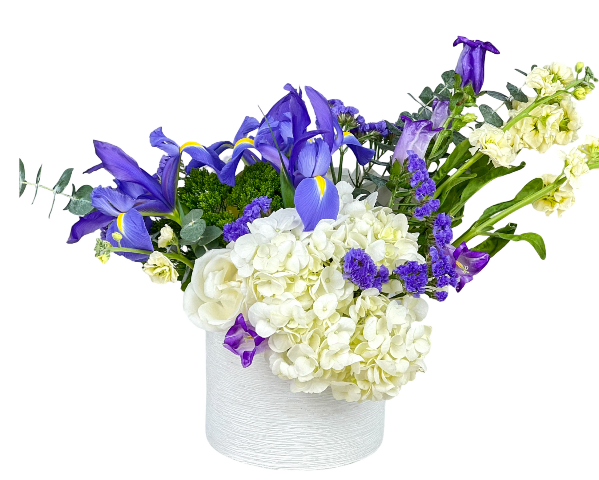 A striking floral arrangement in a modern white textured ceramic vase, featuring deep purple iris, white hydrangeas, yellow and ivory stock, purple statice, bellflowers, and eucalyptus accents. This refreshing mix of cool tones and soft greens creates a soothing, modern display ideal for sympathy, thank-you gifts, or everyday elegance.