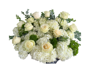 A luxurious floral arrangement featuring ivory roses, white hydrangeas, green moss accents, and soft filler greenery, all presented in a classic rounded design. This serene and cloud-like bouquet is perfect for sympathy, weddings, or sophisticated celebrations where simplicity and elegance are key.