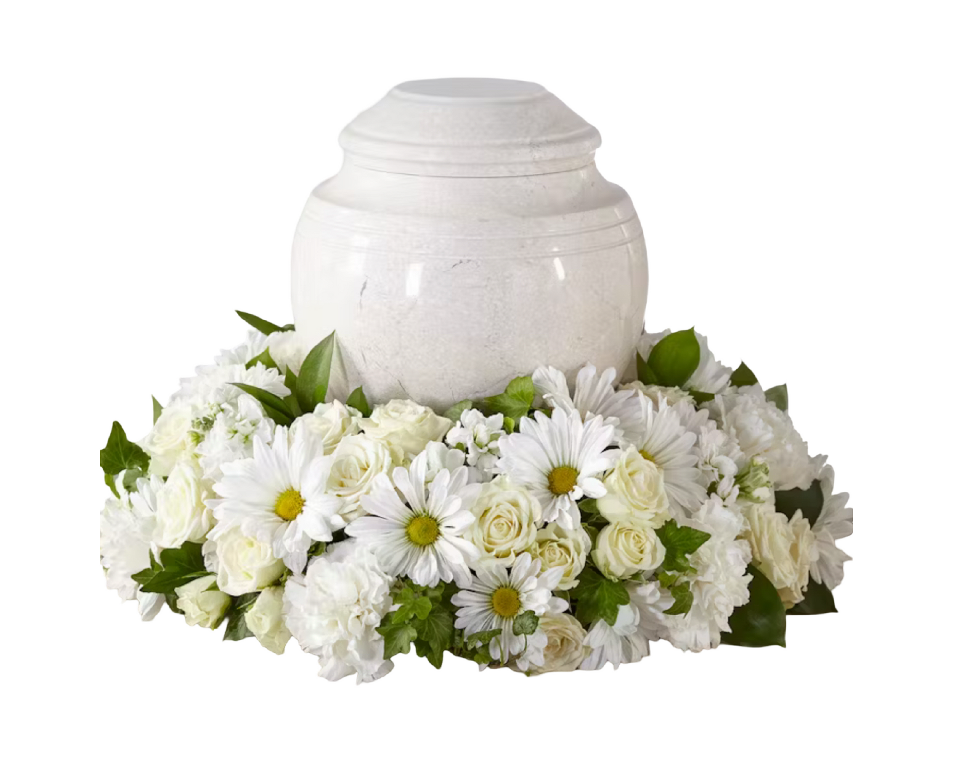A serene floral urn wreath composed of white roses, white carnations, white daisy chrysanthemums, and soft greenery. Designed to encircle a cremation urn, this peaceful tribute symbolizes purity and eternal remembrance—perfect for funerals, memorial services, or celebration of life ceremonies.