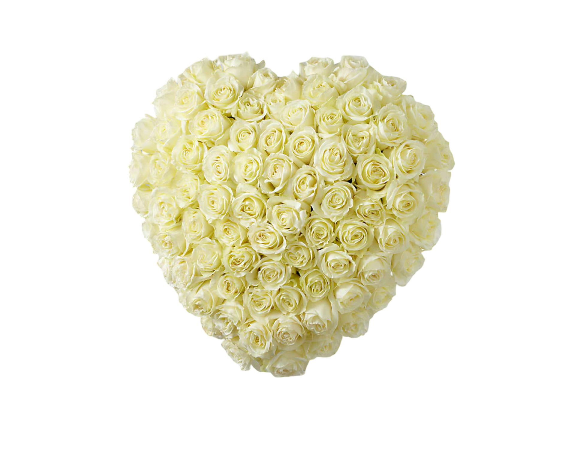 Pure Devotion White Rose Heart Tribute
