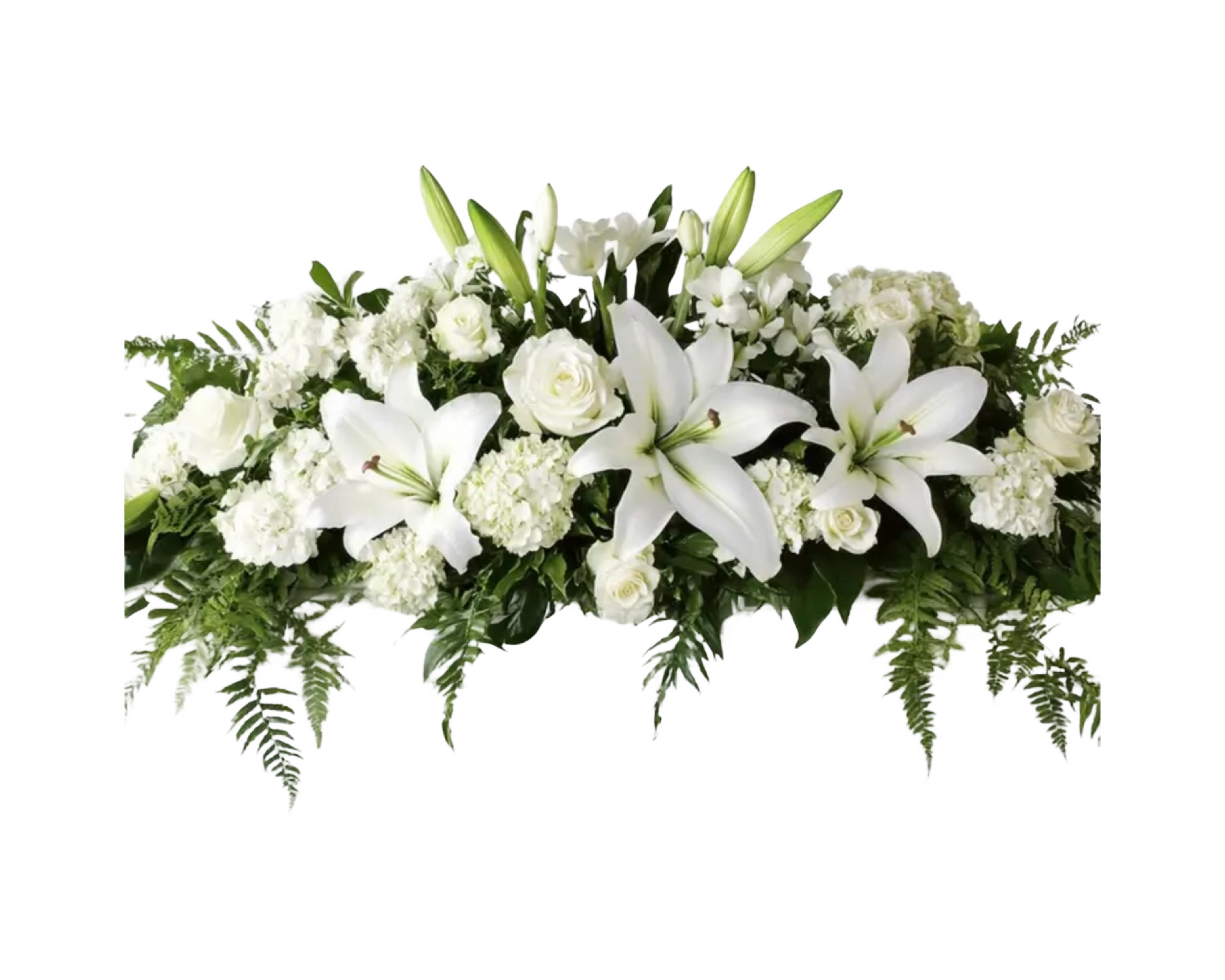 An elegant all-white funeral casket spray featuring white lilies, white roses, white carnations, and white stock, beautifully arranged with lush ferns and greenery. This classic and peaceful floral tribute symbolizes purity, grace, and eternal love—perfect for honoring a loved one at a memorial or funeral service.