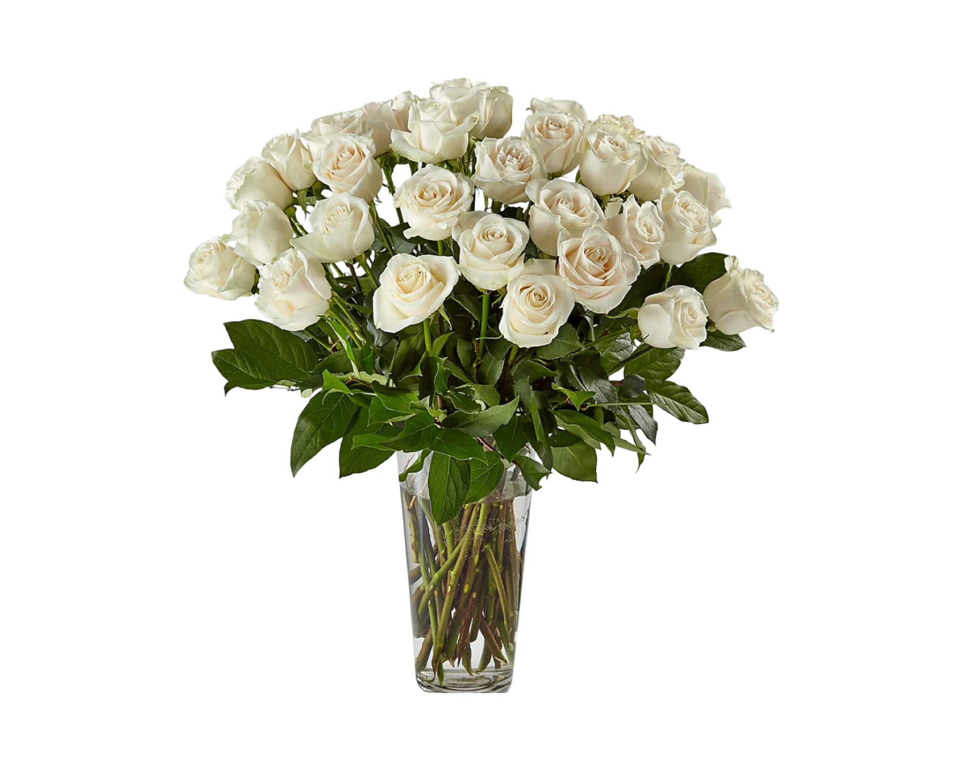 Thirty White Roses in Glass Vase