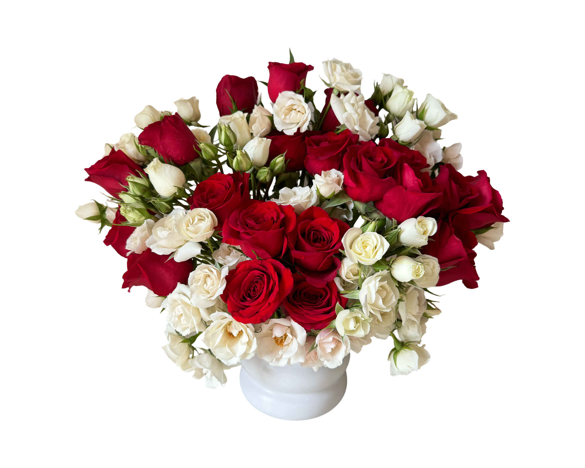 Scarlet Whisper – Red & White Rose Dome