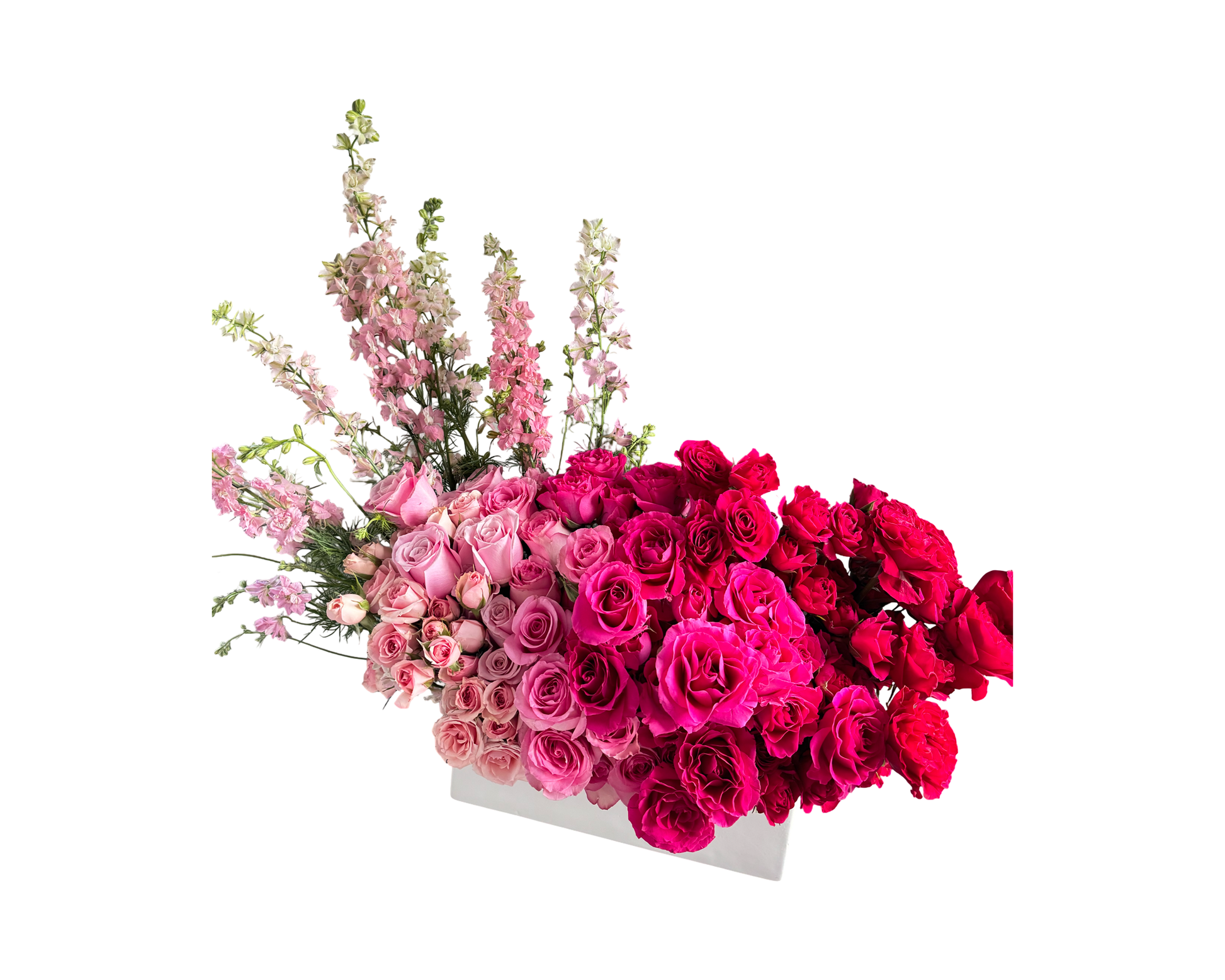 Ombré Amour