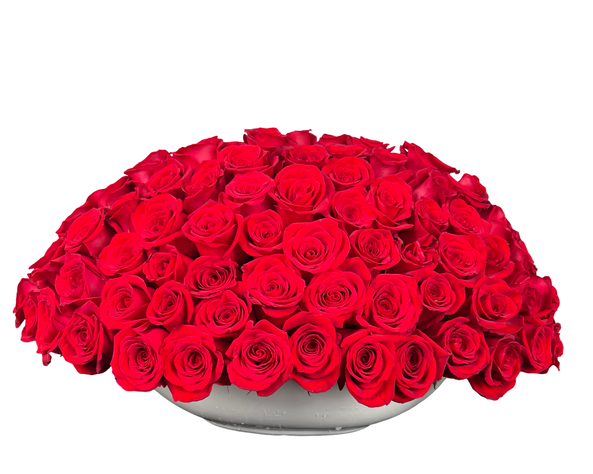 Royal Rose Dome