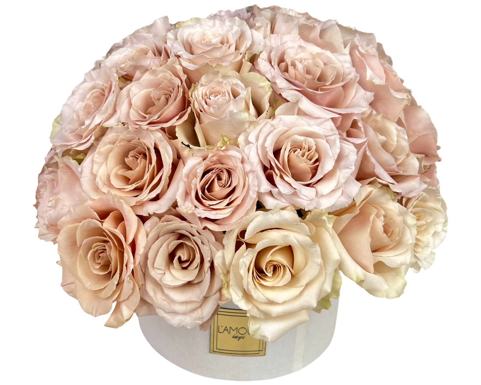 A chic and monochromatic dome of champagne-toned roses arranged tightly in a round white hatbox from L’amour Designs. The subtle blush-beige hues and clean silhouette give this design a modern, understated elegance—perfect for minimalist aesthetics, luxury gifting, or romantic gestures.