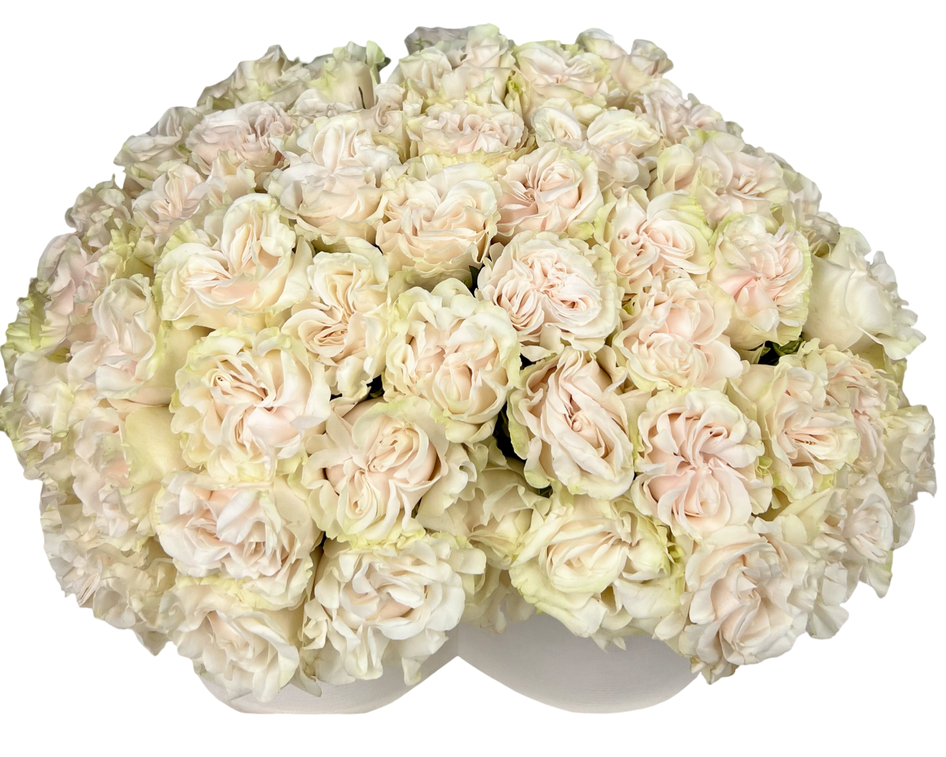 A refined and symmetrical dome of soft ivory and pale blush roses arranged tightly in a white heart-shaped hatbox. The delicate, ruffled rose petals create a seamless and cloud-like presentation, perfect for elegant events, romantic milestones, or timeless sympathy tributes.