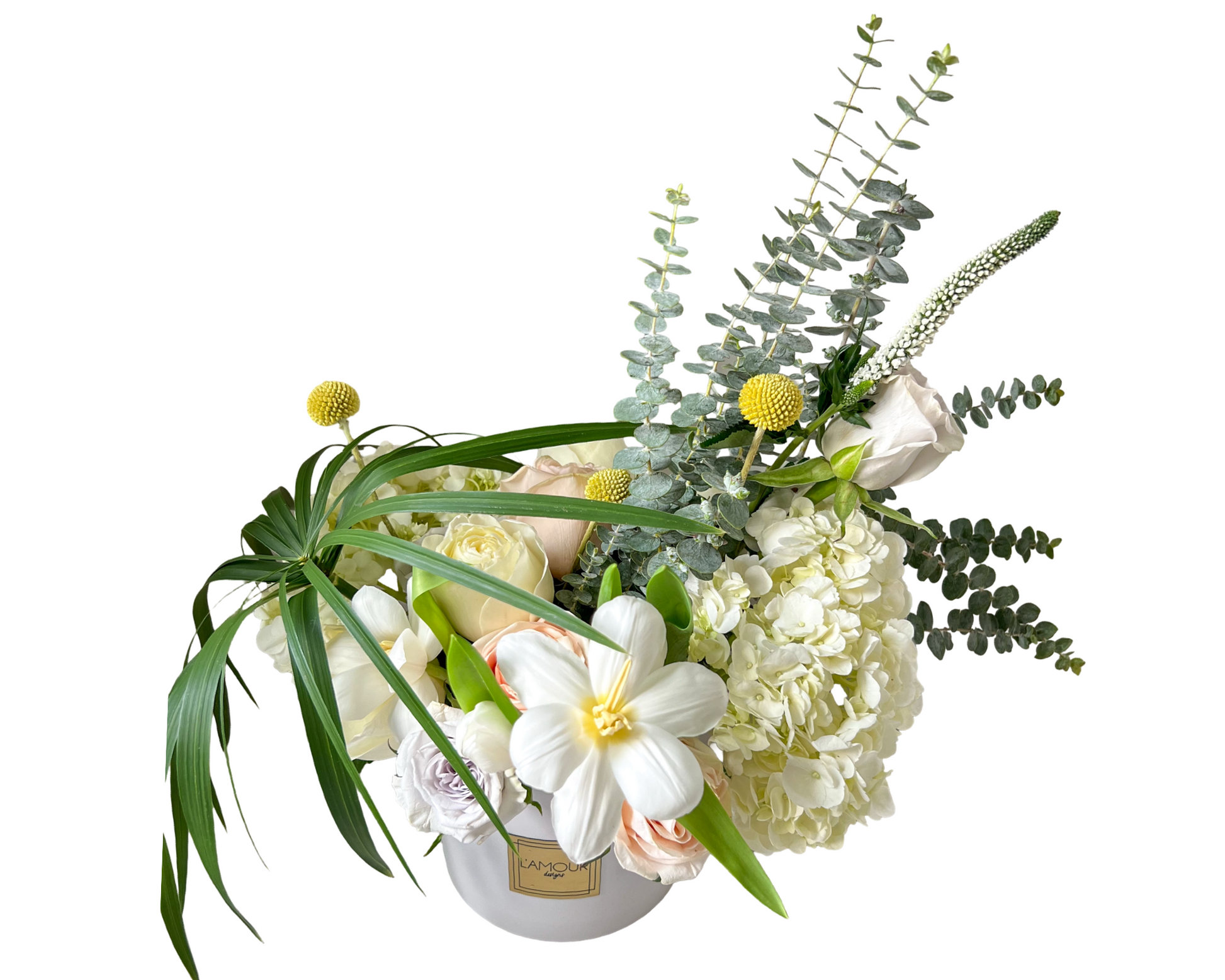 Palm Blanc