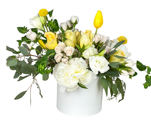 A soft and cheerful floral arrangement in a modern white ceramic vase, featuring yellow roses, yellow tulips, ivory spray roses, white lisianthus, white peonies, yellow craspedia (billy balls), and fresh eucalyptus. The clean color palette and airy composition make it perfect for spring gifting, get well wishes, or modern decor.